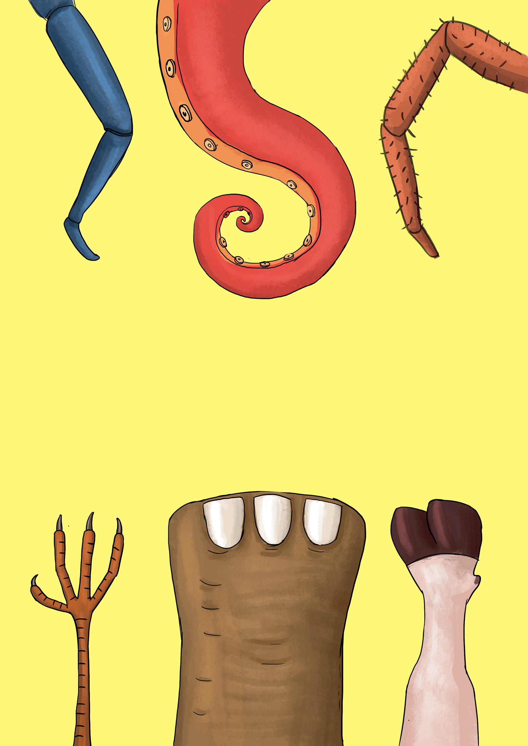 Cover of Let's Count Legs