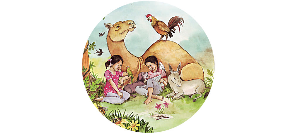 Cover of Our Friends in the Wild