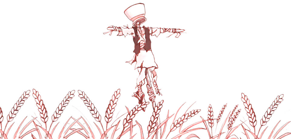 Cover of The Soil