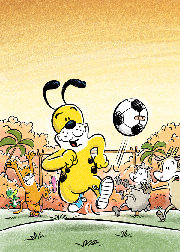 Cover of Cat and Dog Play Soccer