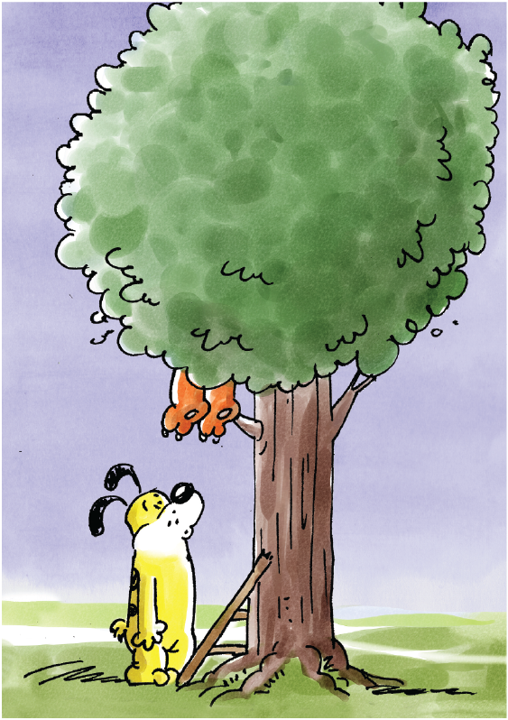 Cover of Cat & Dog: Where Is Cat