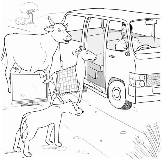 Cover of Goat, Dog, Cow, and TV