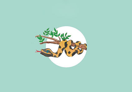Cover of How did the Rat Snake Lose its Poison?