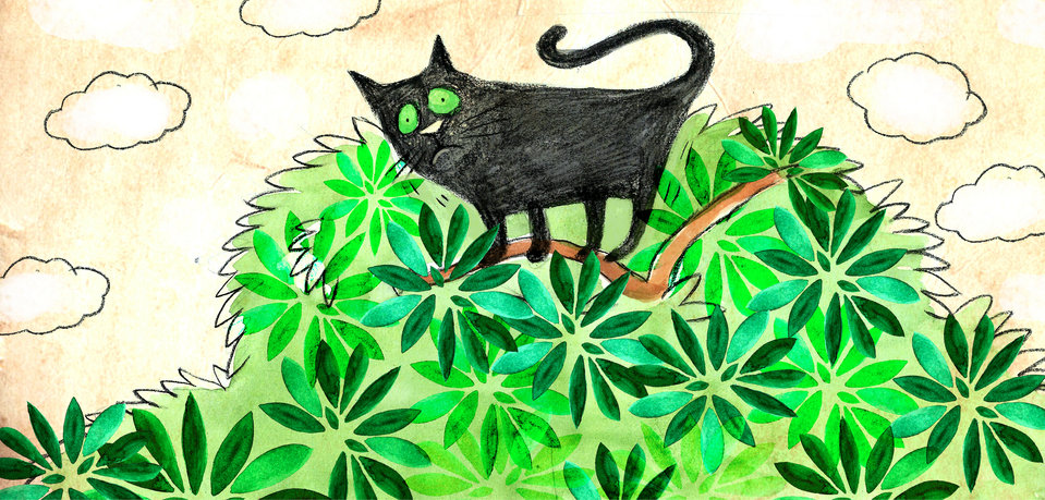 Cover of It's All the Cat's Fault!