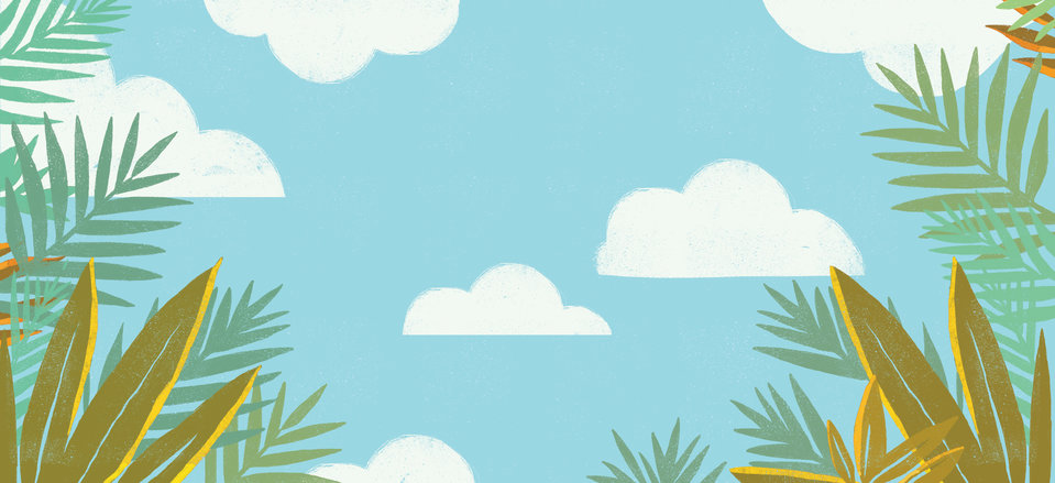 Cover of Look Up