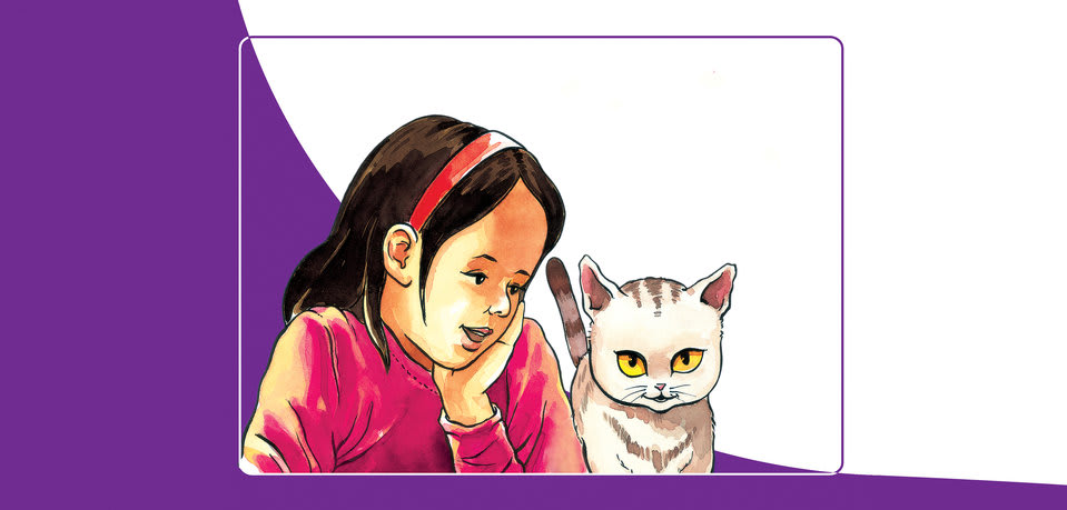 Cover of Sani and Suri