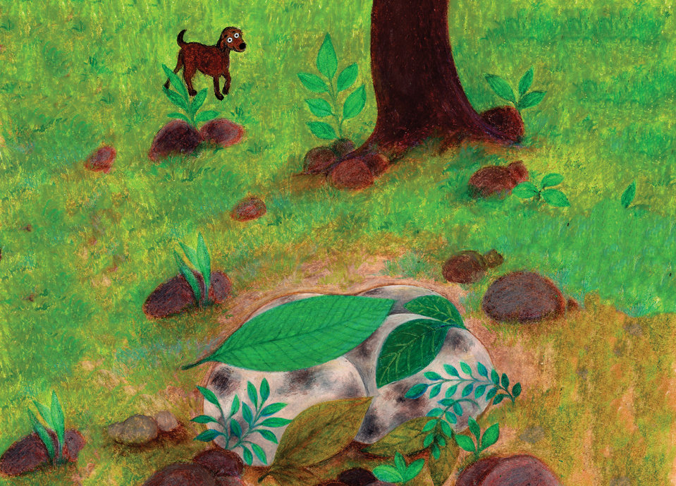 Cover of The Dog's Eggs