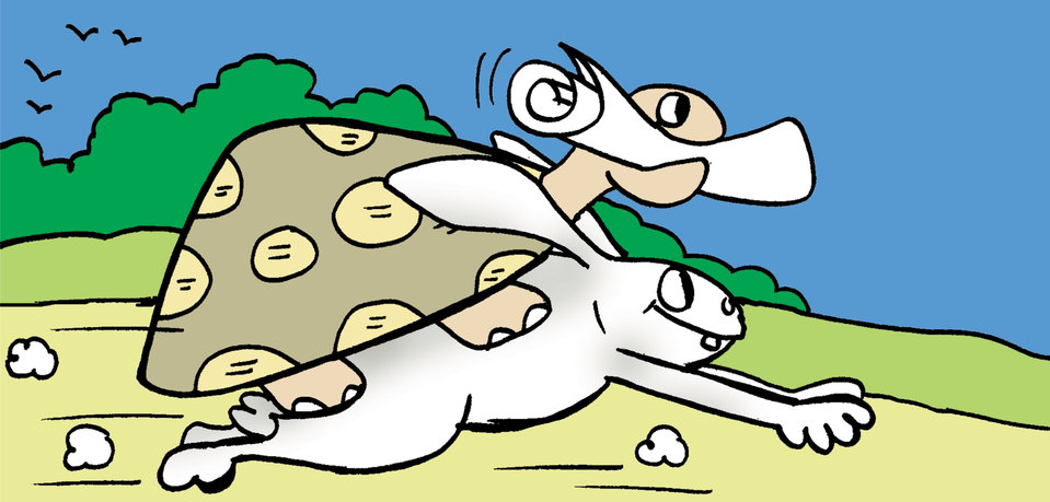 Cover of The Hare & the Tortoise (Again!)