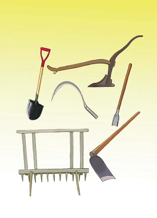Cover of Tools for Rice Farming