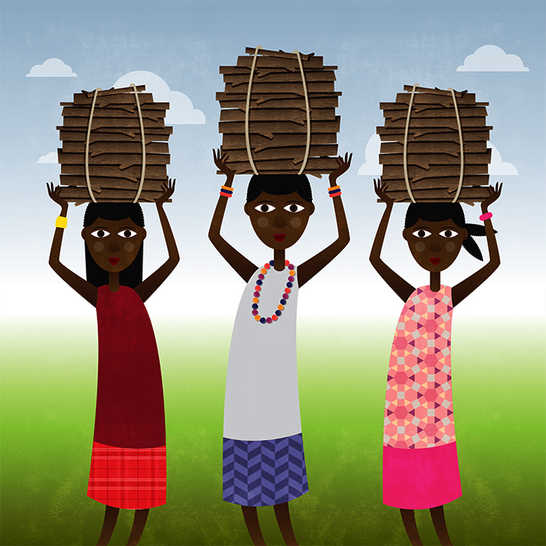 Cover of Nozibele and the three hairs