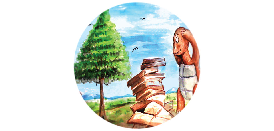 Cover of How the Tortoise Built Her House