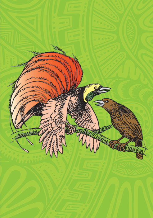 Cover of About Birds