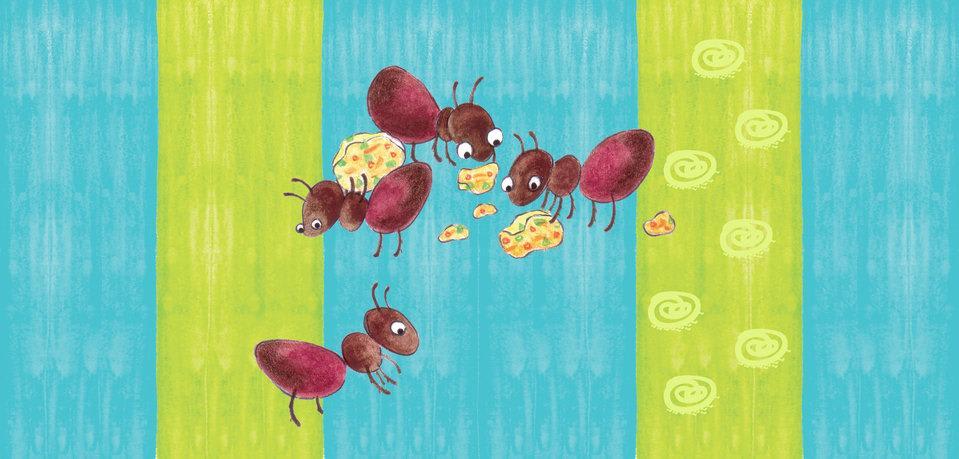 Cover of Busy ants