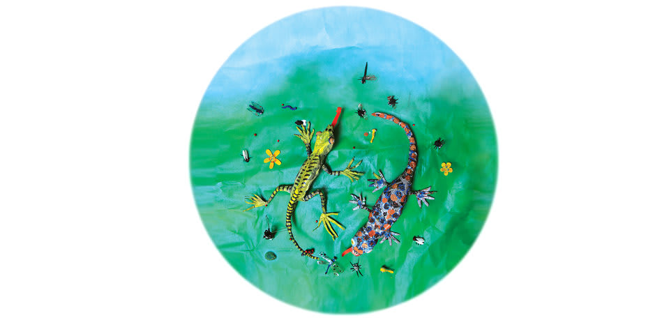 Cover of The Green Lizard and the Gecko